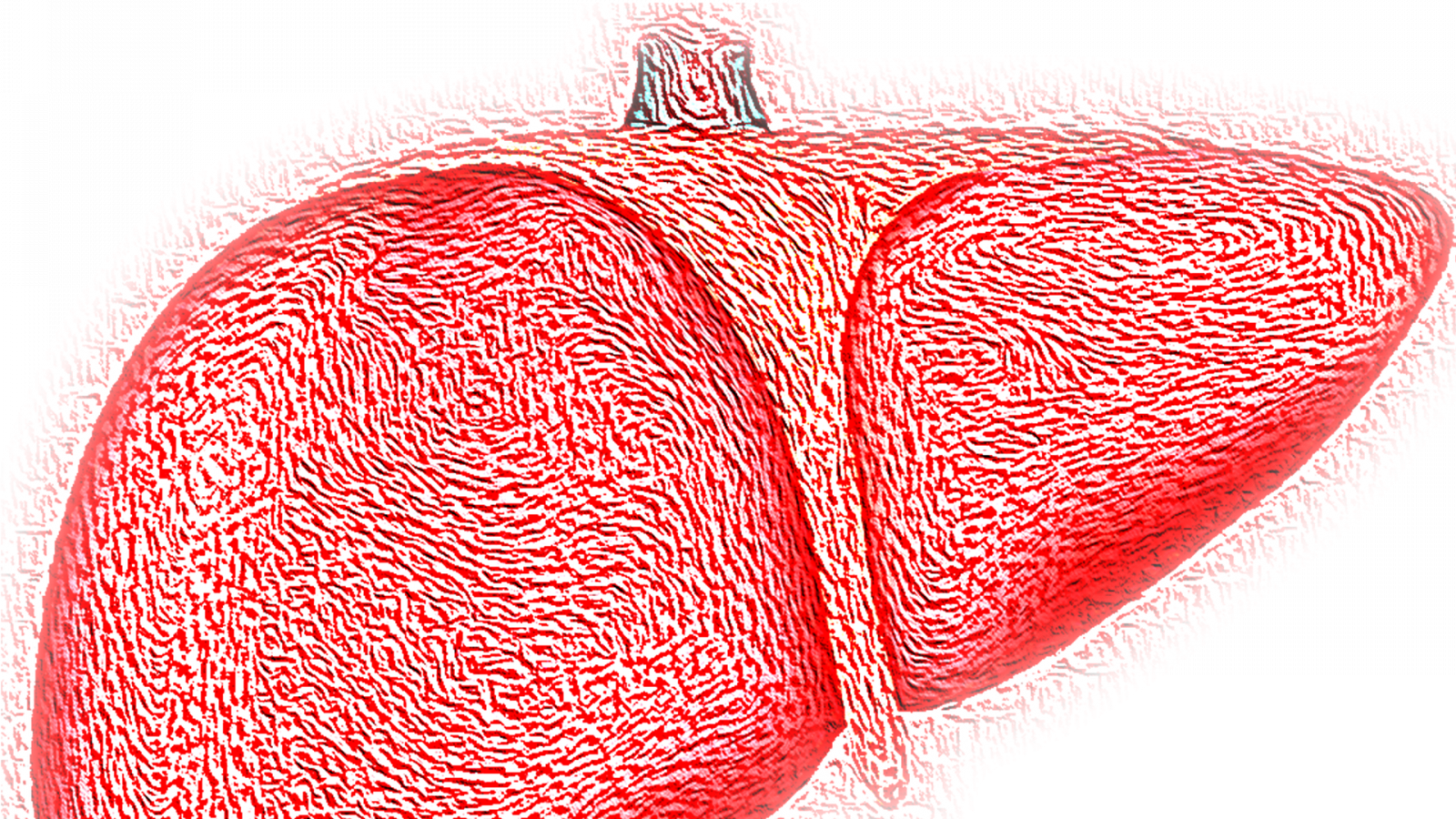 liver,hepaitis,pink,gb
