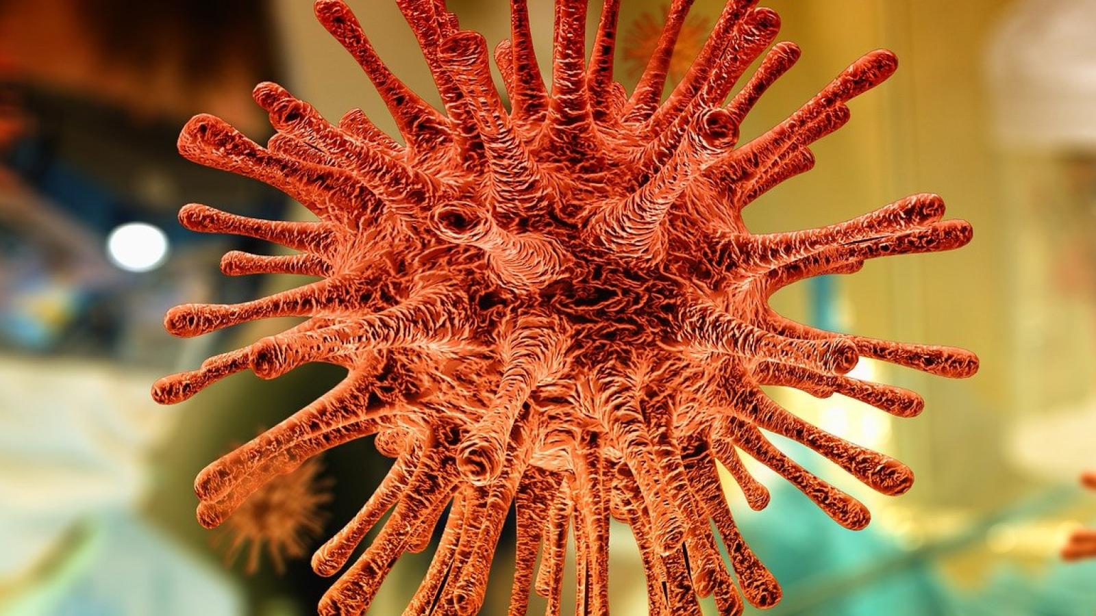 virus,COVID,Vaccine, booster