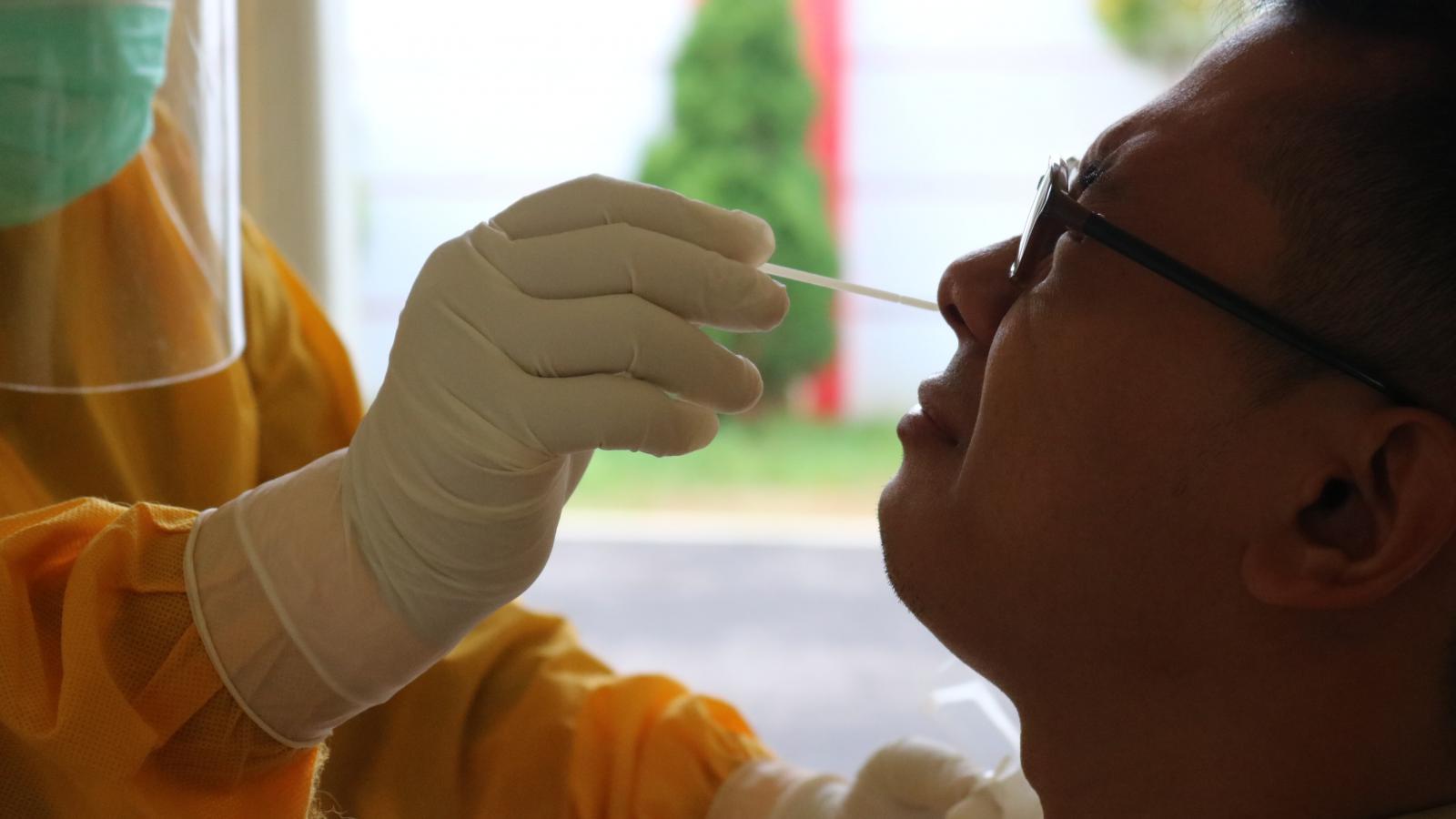 COVID,nasal,PCR,test,swab