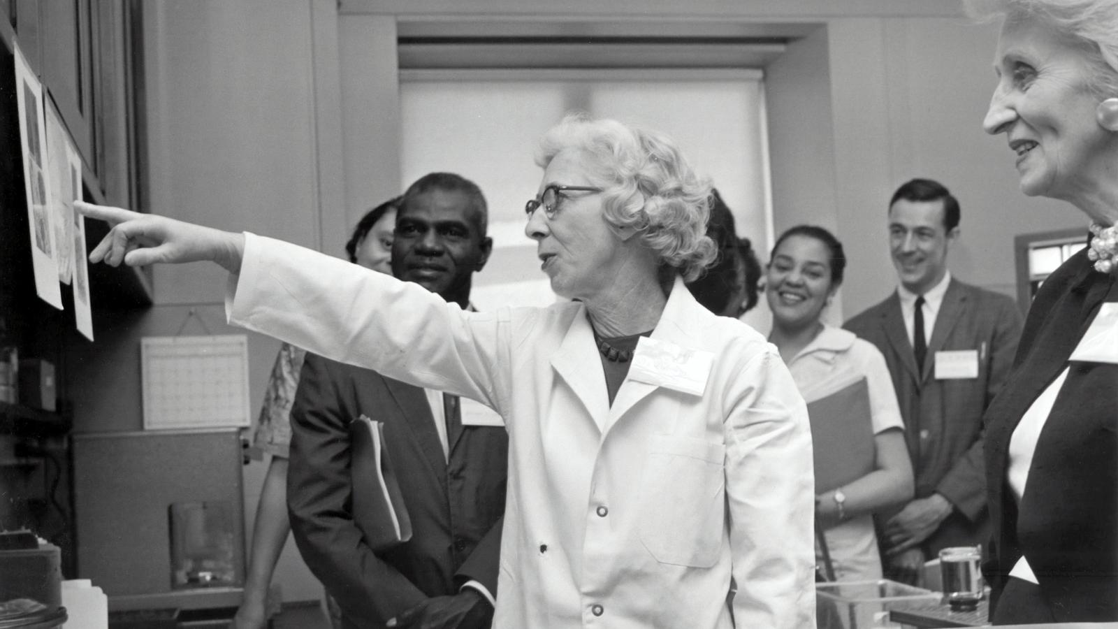 Doctor,physician,xray, teach, rare