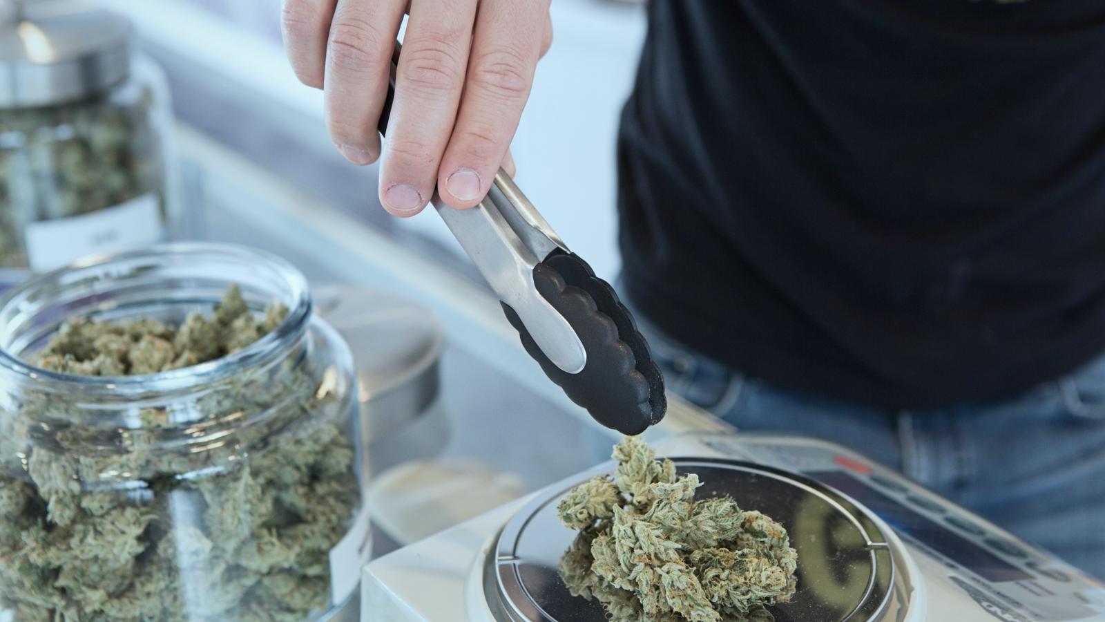 medical.marijuana