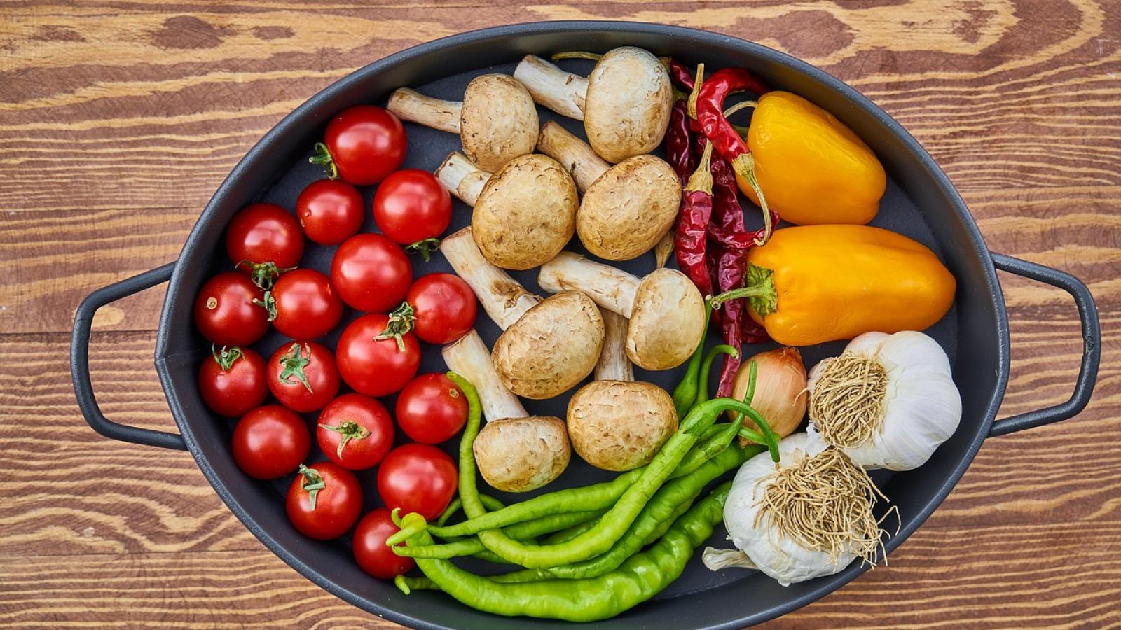 Vegetarian diet food nutrition