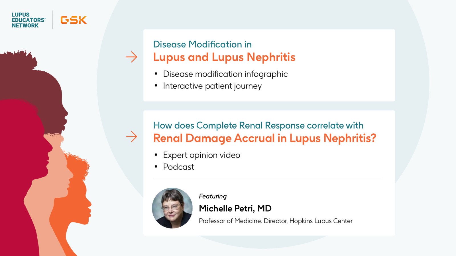 Disease Modification in Lupus and Lupus Nephritis: Modifying the Natural Course of the Disease