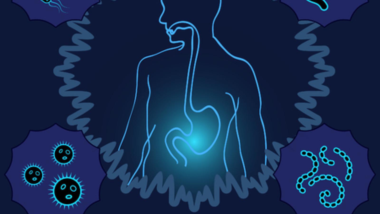 GI, microbiome, bacteria