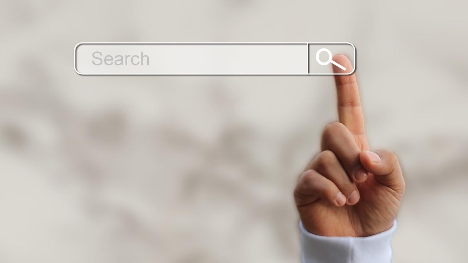 search bar
