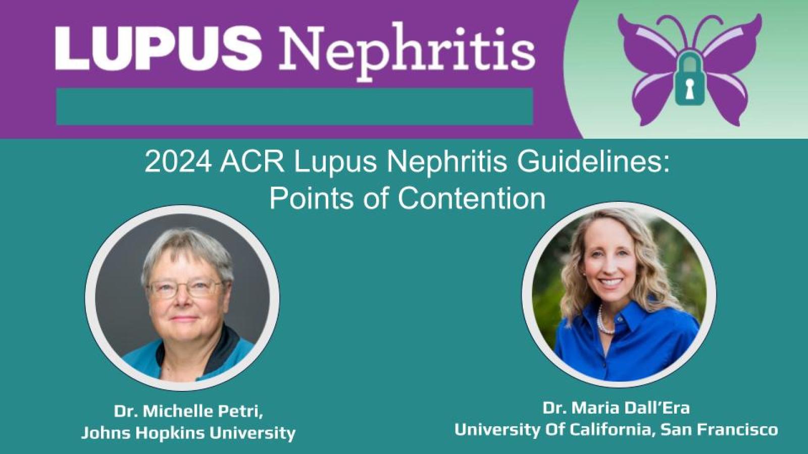 M. Petri and M. Dall'Era Guideline Points of Contention