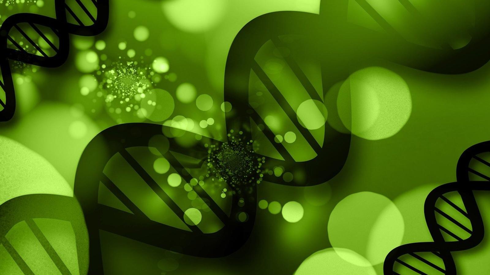 dna 