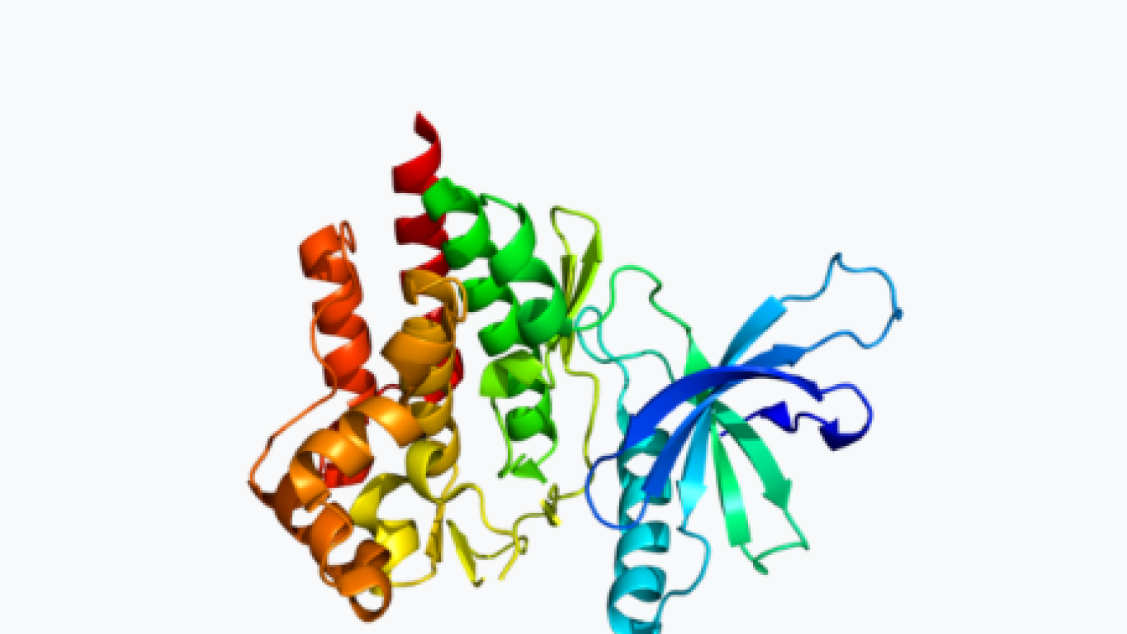 Tyk2.Wikipedia