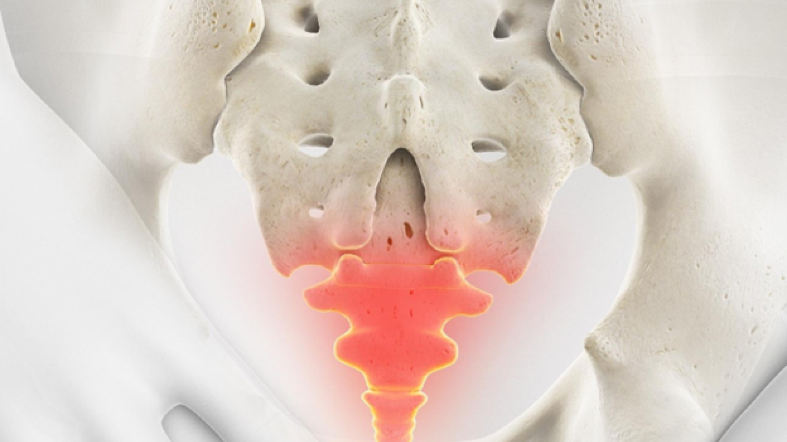 coccyx