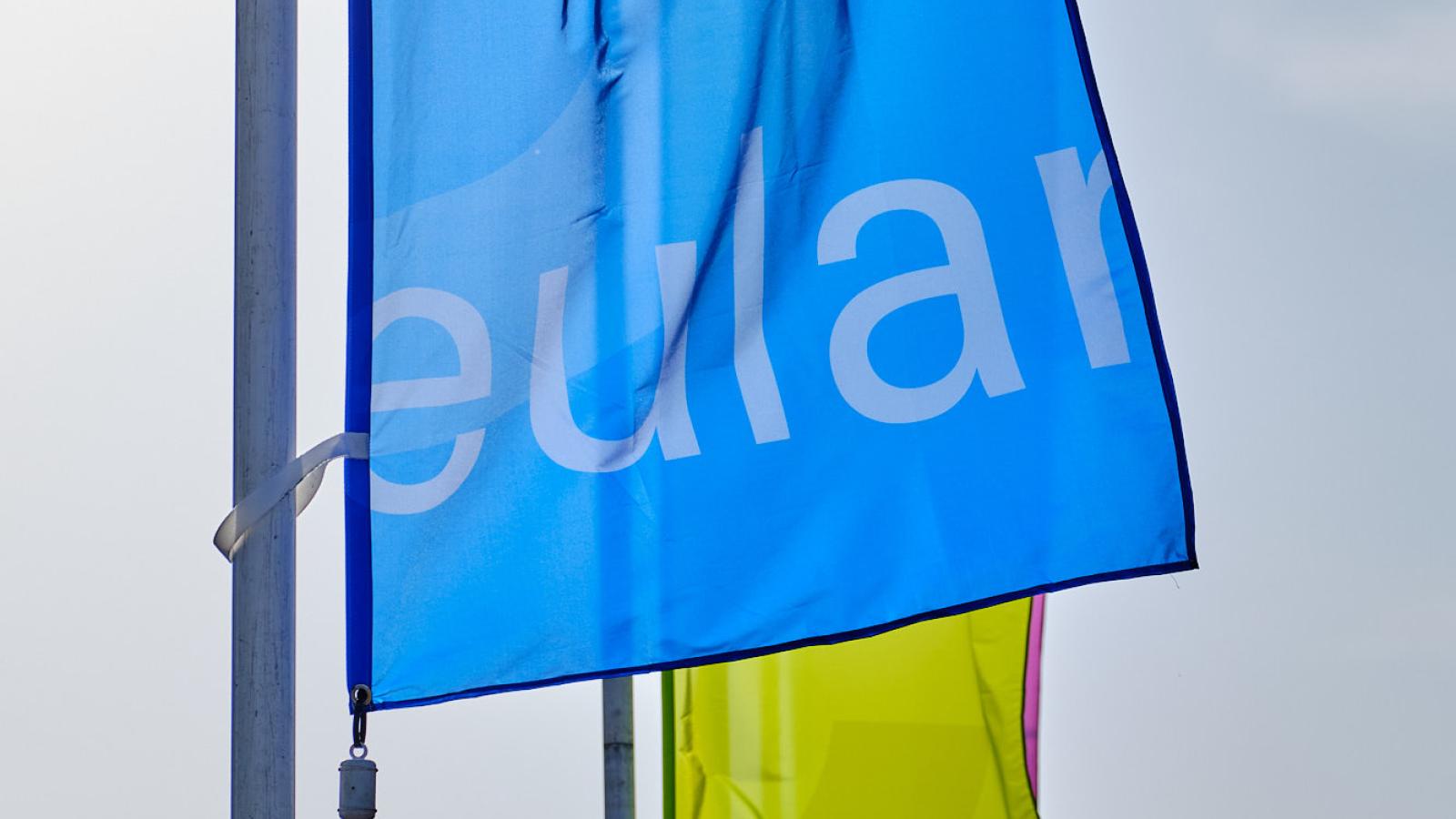 EULAR flags