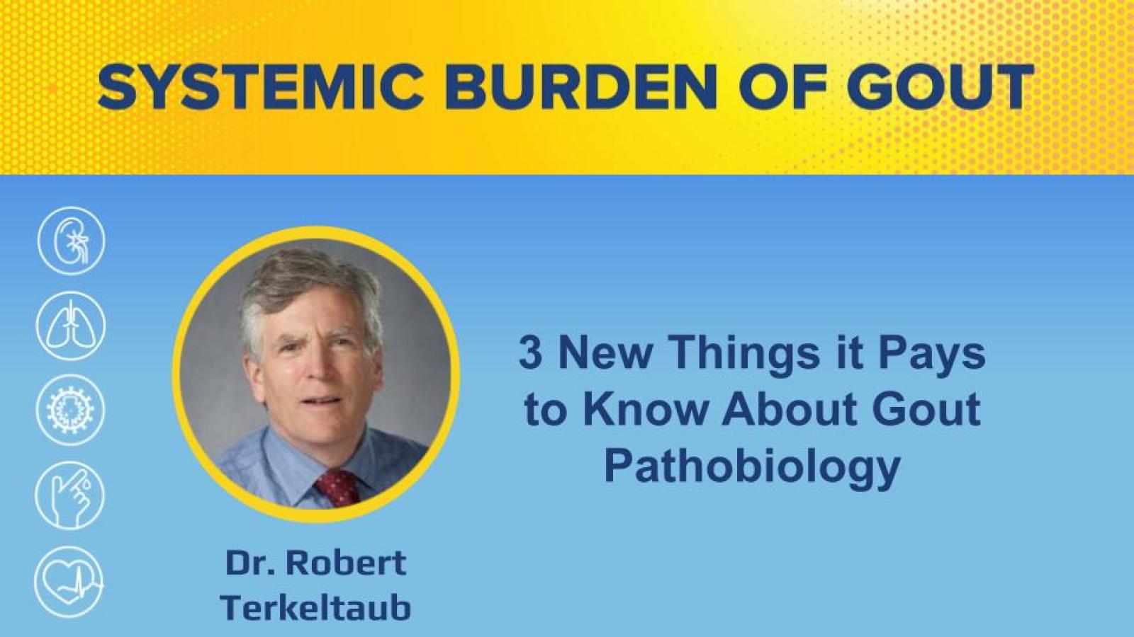Systemic Burden of Gout