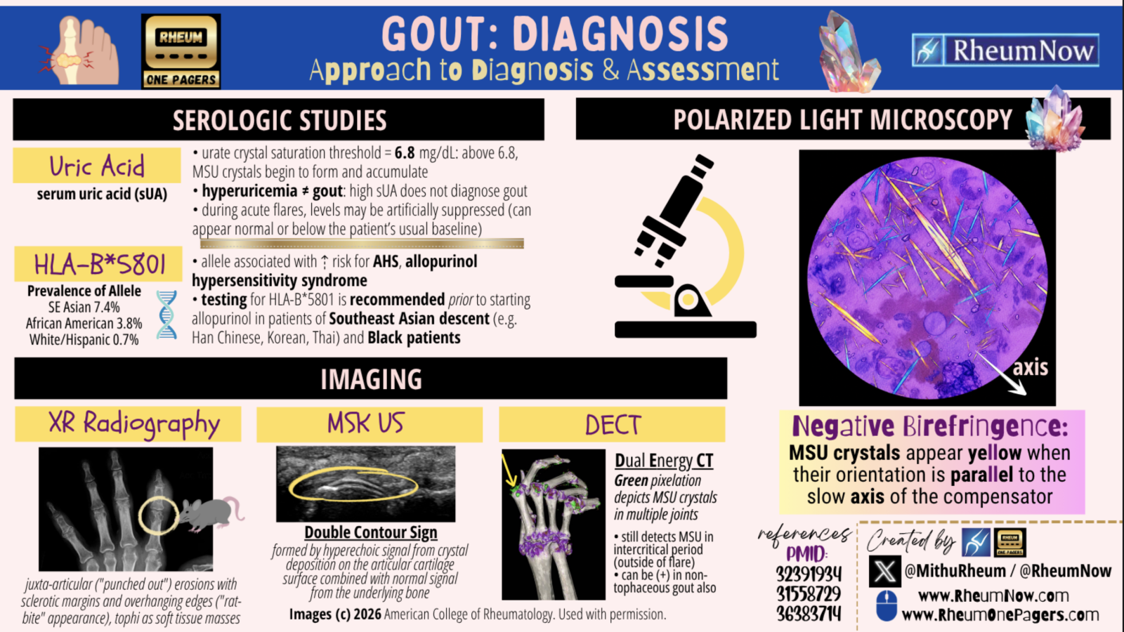 Gout Diagnosis Cover