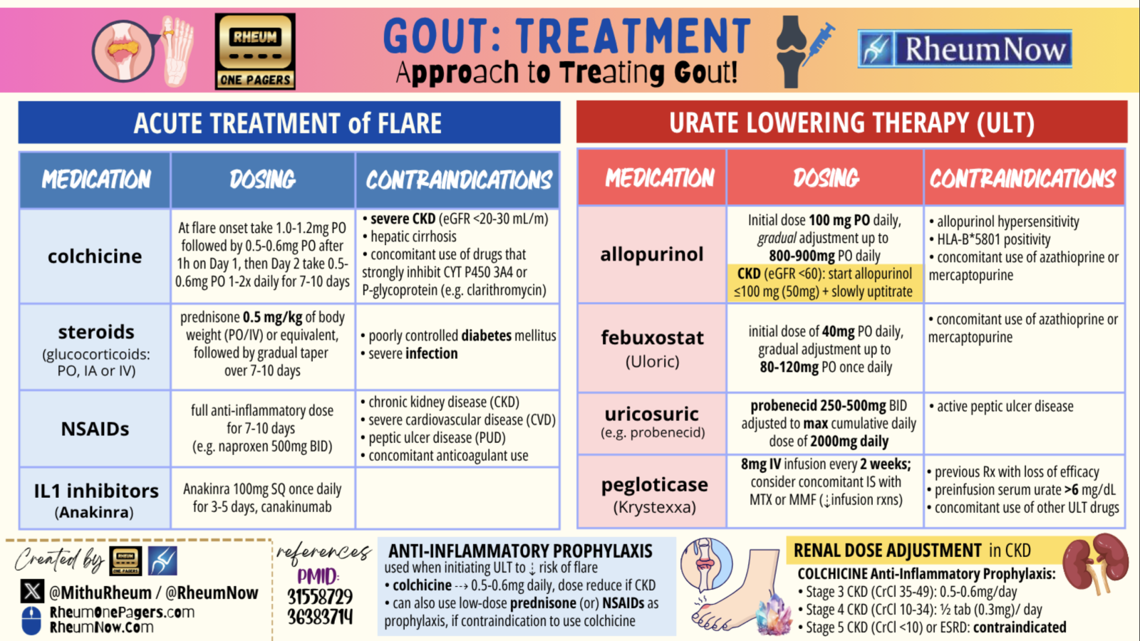 Gout Treatment Cover