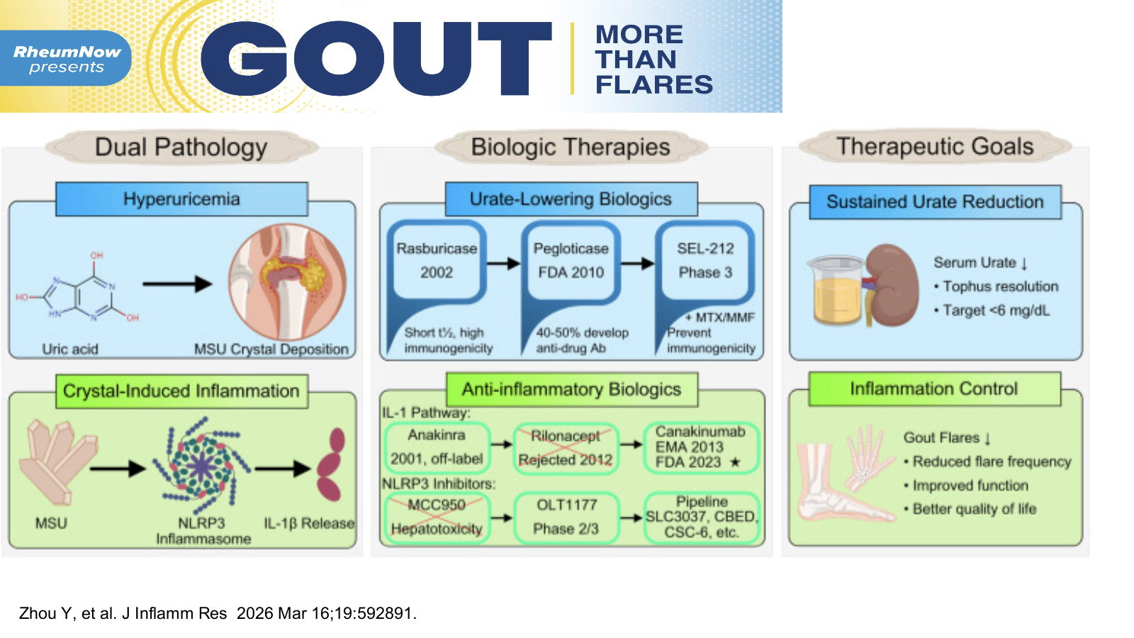 Cover slide for New Advanced Therapies in Gout