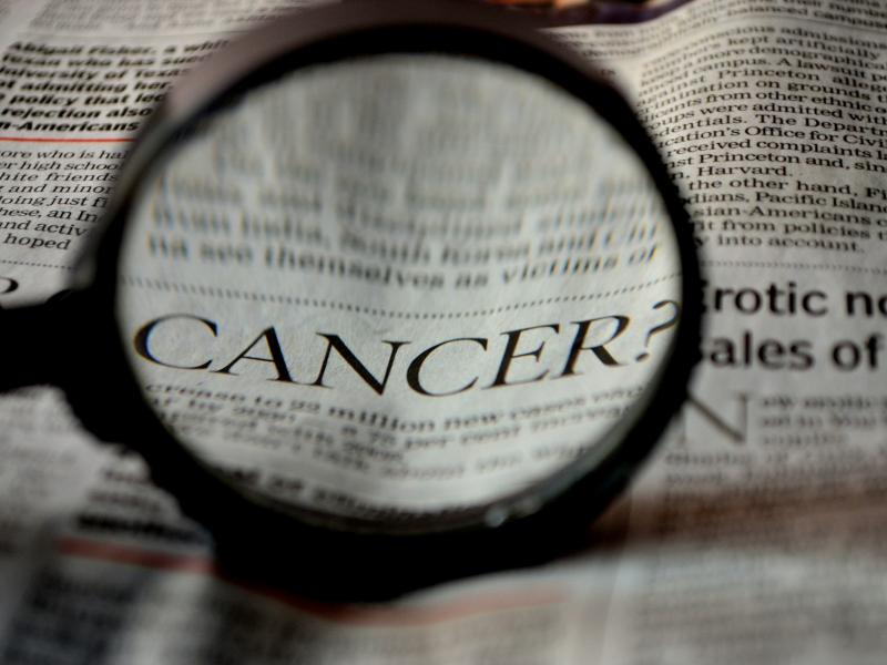 cancer search news magnify