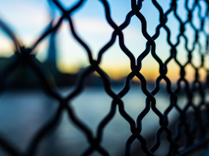 fence